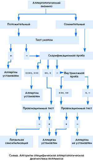 началова похудела