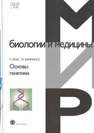 диеты для поправления